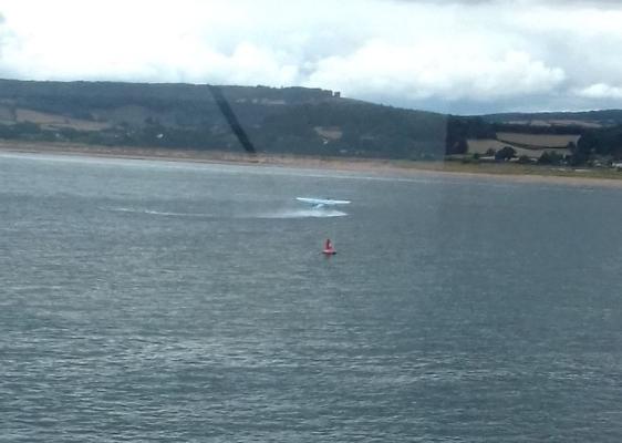 Seaplane touches down  in front of lookout