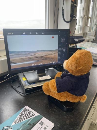 Barney Bear Brancaster Mascot