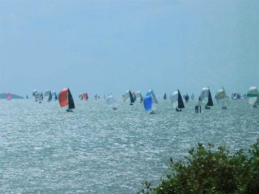 First day of Cowes Week, August 2026