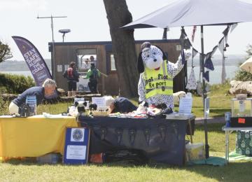 Bark on the Beach 2026 
